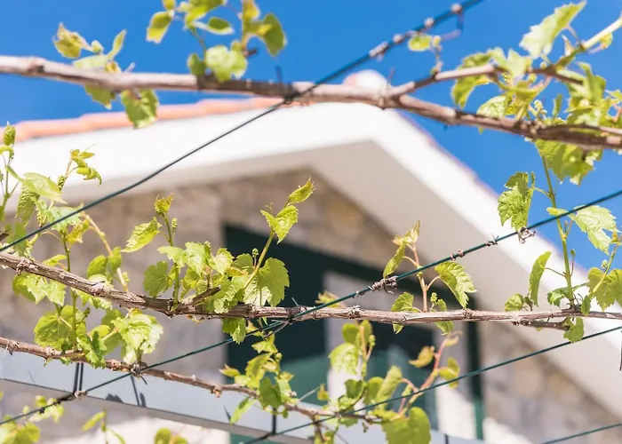 Guestready - Paracoba House Ferienhaus